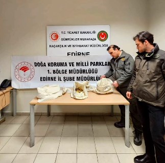 Bunlar da kaçak piton yılan! | Edirne Ahval Gazetesi Screenshot 1 58 | Edirne Ahval Gazetesi