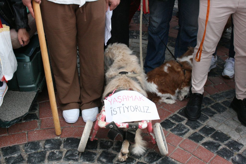 IMG 2340 | Edirne Ahval Gazetesi