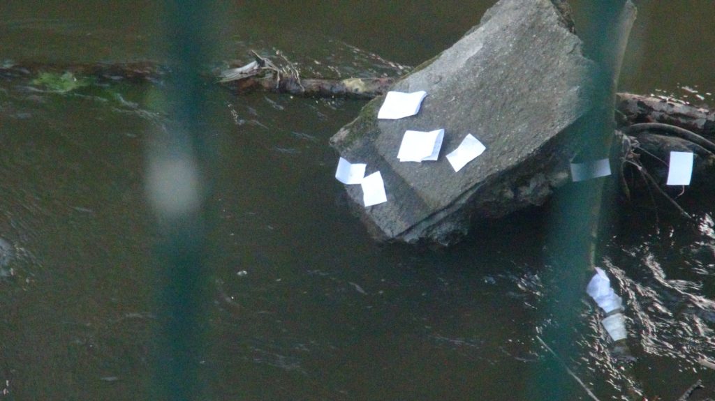 Kakava’nın dilekleri Tunca Nehri’ne bırakıldı | Edirne Ahval Gazetesi WhatsApp Image 2024 05 06 at 07.02.54 1 | Edirne Ahval Gazetesi