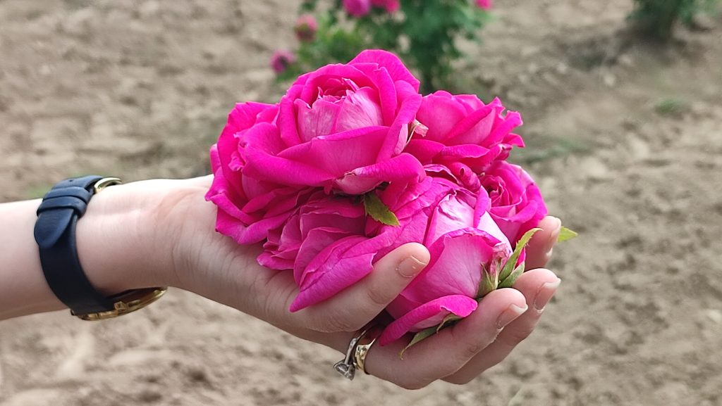 WhatsApp Image 2024 05 08 at 20.20.24 | Edirne Ahval Gazetesi