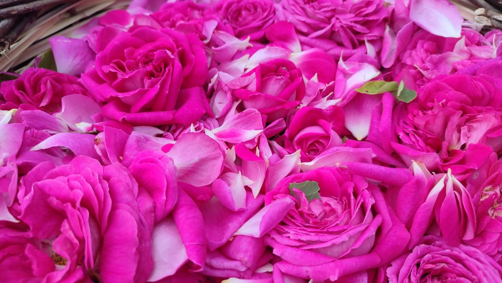 WhatsApp Image 2024 05 08 at 20.20.25 | Edirne Ahval Gazetesi