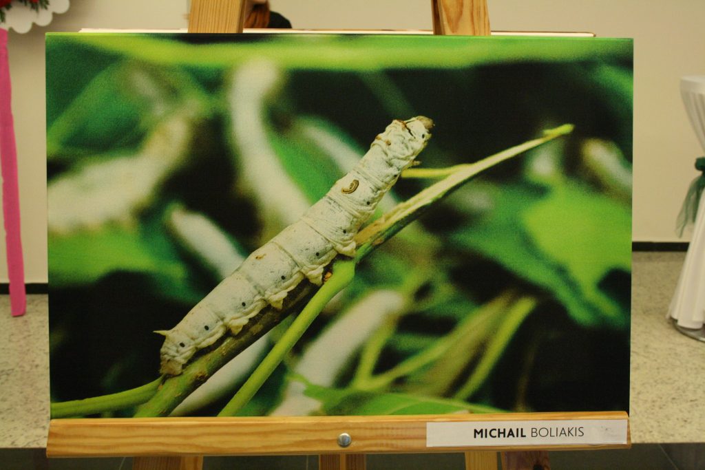 IMG 2493 | Edirne Ahval Gazetesi