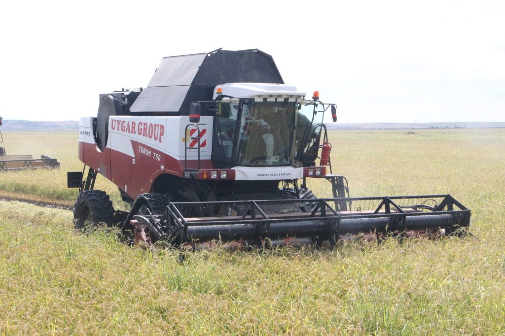 Bakan Yumaklı; ‘Çeltikte 980 bin ton rekolte bekliyoruz’ | Edirne Ahval Gazetesi photo 6001100465896538685 w | Edirne Ahval Gazetesi