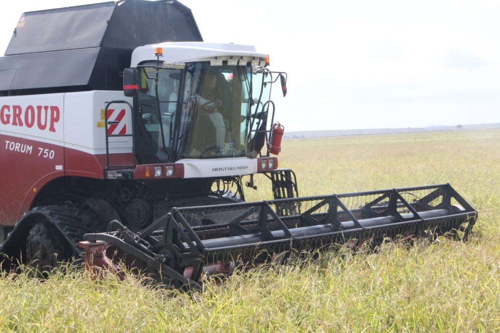 Bakan Yumaklı; ‘Çeltikte 980 bin ton rekolte bekliyoruz’ | Edirne Ahval Gazetesi photo 6001100465896538686 w | Edirne Ahval Gazetesi
