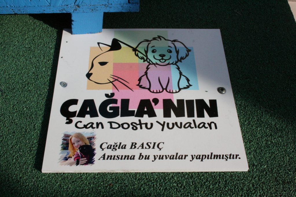 IMG 9252 | Edirne Ahval Gazetesi